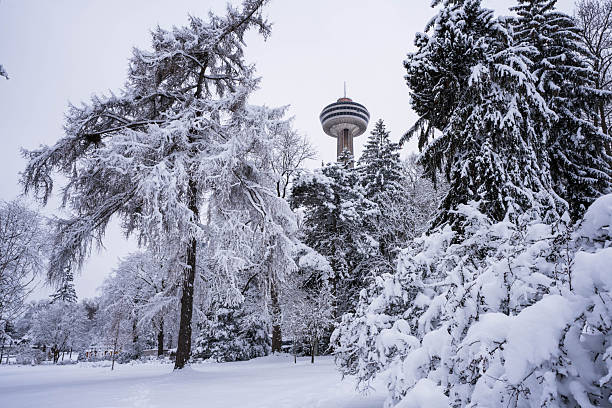 A breathtaking winter scene in Niagara Falls, Ontario, featuring the iconic Skylon Tower framed by pine and deciduous trees heavily coated in fresh white snow. The ground is a pristine blanket of white under an overcast sky, capturing the quiet beauty of a Canadian winter day. Perfect for tourism, seasonal greetings, and cold weather concepts.
