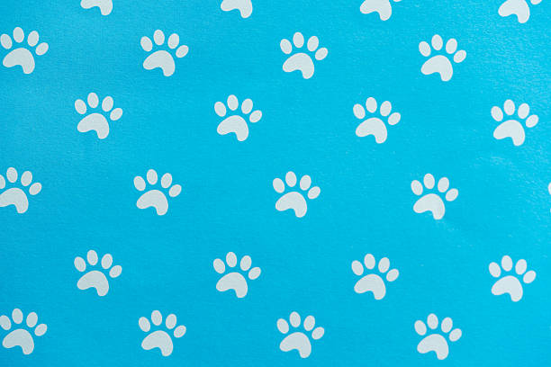 Paw Print Pattern with White Animal Tracks on Cyan Background