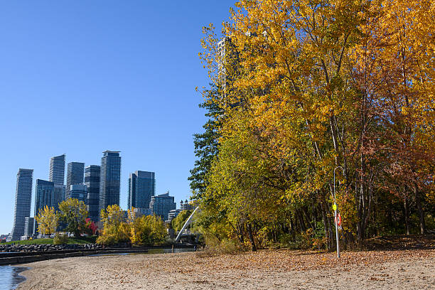 Couple with Toronto skyline