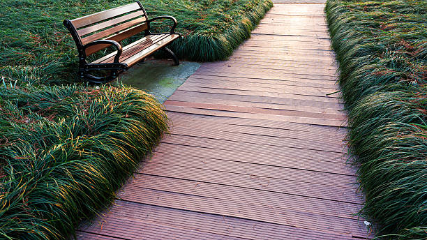 Boardwalk and bench in the lush green garden