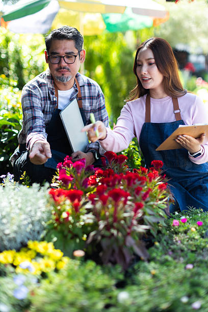 Young Female Florist Using Digital Tablet in Garden Center .Asian couple farmers working in a field of flowers .Small business owner mentoring employee .Smiling young gardener
