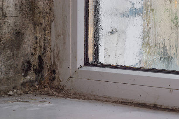 istock Mold fungus on a window. moist In the room. 2256844017