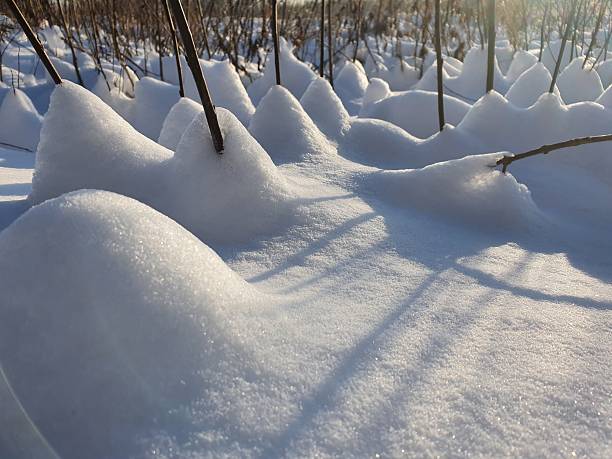 Snowdrifts. Snow mounds. Snowdrifts. An interesting winter landscape on a frosty winter day. Space for text. Snow crystals.Multiple soft organic mounds snowdrifts   purity concept
