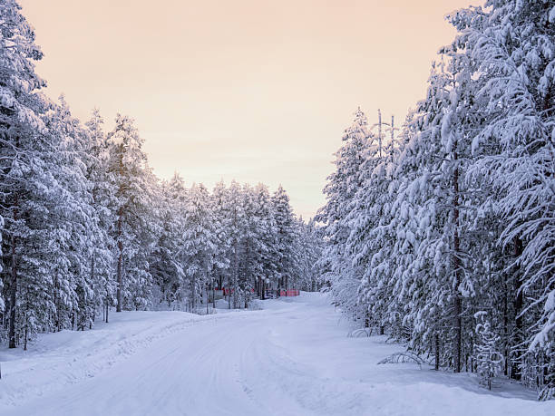 Small road, trees covered in snow and yellow, pink sky. Jokkmokk.