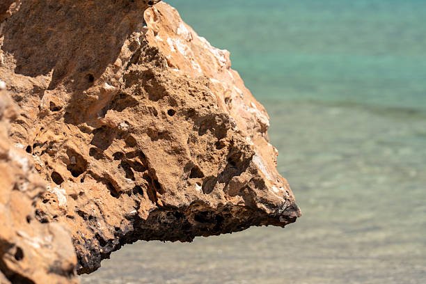 Textured beach rocks seashells and driftwood on Coral Bay foreshore with clear tropical ocean backdrop Western Australia paradise.