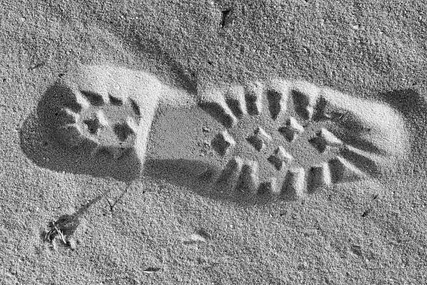 Large shoe footprint imprinted on sandy beach under bright sunlight.