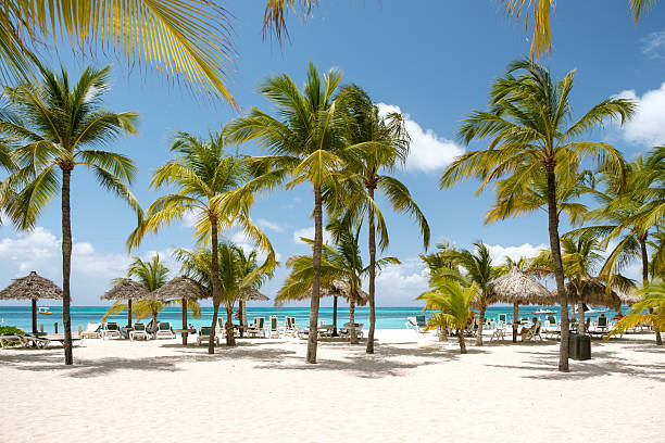 Young woman drinking coconut water sitting on sand on the beach