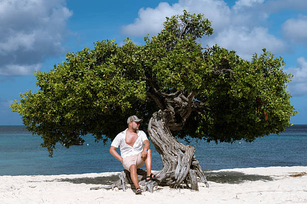 Enjoying a peaceful day by the crystal-clear waters of Eagle Beach, a traveler relaxes beside a uniquely shaped tree. The soft sand and vibrant sky create a perfect tropical backdrop.