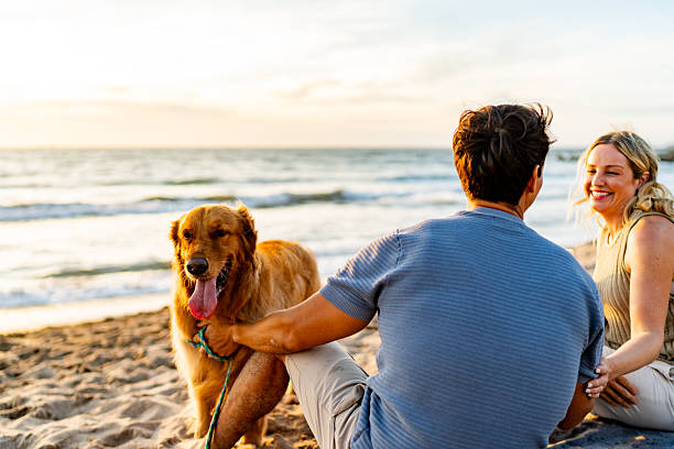 Woman walks dog on beach at sunset