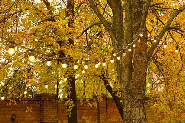 String lights are hung on branches of trees in a garden surrounded by colorful autumn leaves. The scene is brightened by the warm glow of the lights as evening falls.