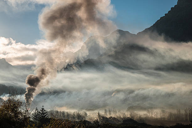 Hazy smoke rising slowly from smoldering campfire in natural field at sunrise
