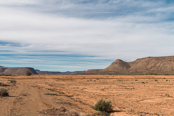 A dirt road cuts through the foreground of a wide, arid landscape, leading across dry plains toward rugged mountain ridges under a vast sky with layered cloud formations. The sparse vegetation and open terrain emphasize the remote, harsh, and scenic beauty of South Africa’s semi-desert environment.