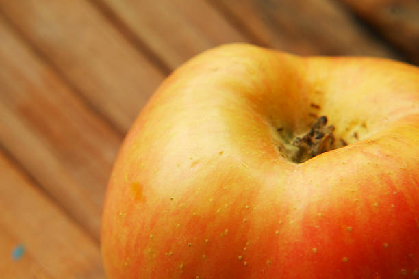 Organic Apple Base Macro Photography