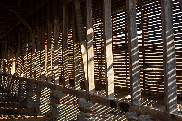 old farm barn for corn crops