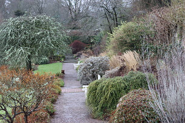 Flower beds and shrubs in a winter garden
