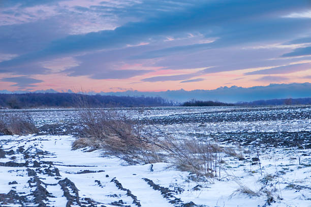 Winter evening landscape featuring a snow-covered field and muddy road under a gentle pink and blue sunset sky. Cold snow tones contrast with warm horizon colors, creating a peaceful and quiet atmosphere of rural nature during winter.