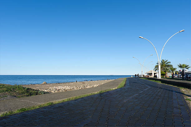 A row of palm trees stands beside a modern seaside promenade with a blue bike path and stylish street lamps under a bright sky.