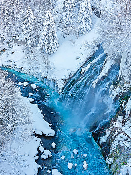 frozen waterfall flows into a vivid turquoise river surrounded by snow-covered trees and icy banks, capturing the contrast between motion and stillness in a serene winter landscape. Biei
