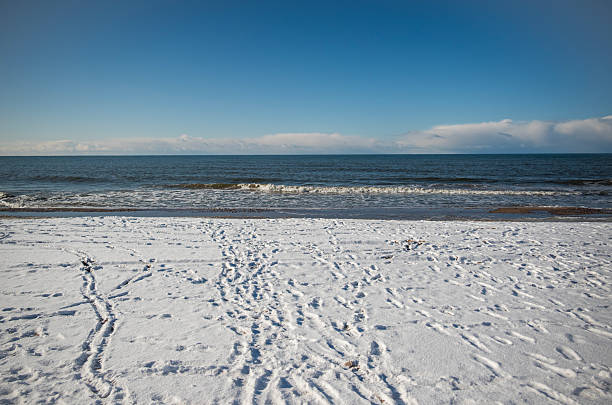 Winter coast of the Baltic Sea in Latvia.