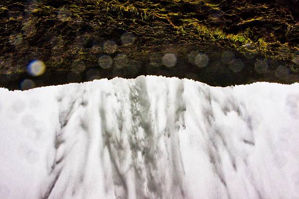 Pictures of nature and animals in Iceland.