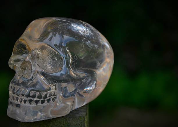 Skull with green background