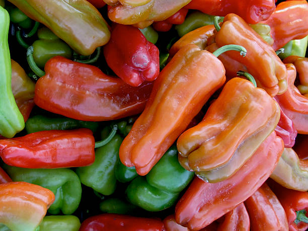 Red Chillies, New Mexico 2009