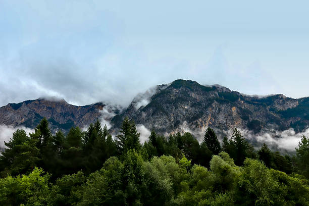 A dramatic landscape view of rugged, rocky mountain peaks partially covered by thick white clouds, with a dense evergreen forest in the foreground under a hazy sky.