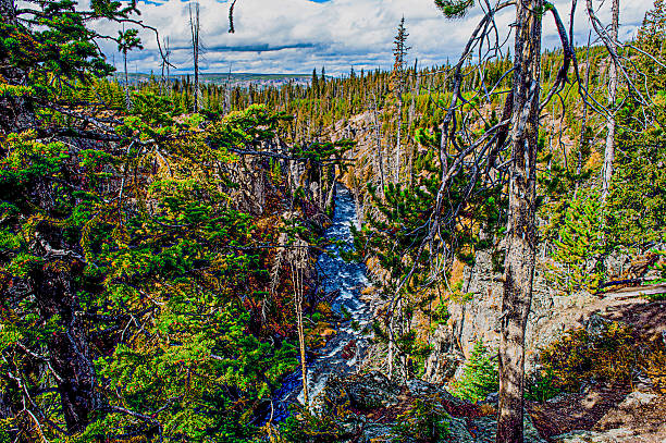 Yellowstone National Park, Wyoming Oct 11 thru Oct 06, 2011
