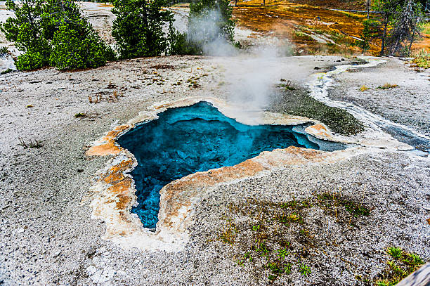 Vertical view at Grand Prismatic Spring, Yellowstone. A brilliant sunstar with lens flare hangs in a cobalt sky while thick steam rises across a forested ridge. In the foreground, the orange thermophile runoff and dark silica crust shimmer with reflected light.