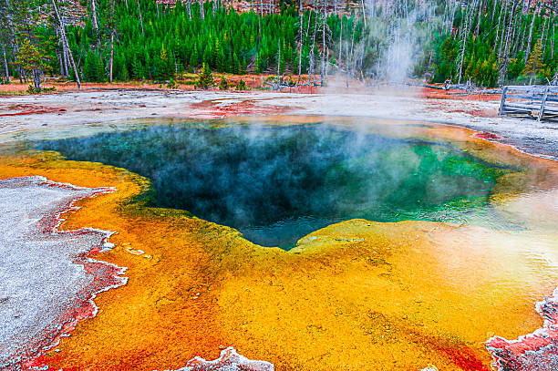 Yellowstone National Park, Wyoming Oct 11 thru Oct 06, 2011