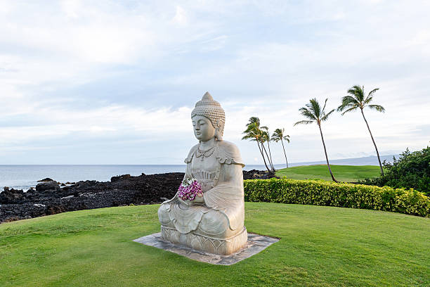 Buddha Point is a serene retreat nestled in the heart of Waikoloa, Hawaii, offering a tranquil space for relaxation and reflection.