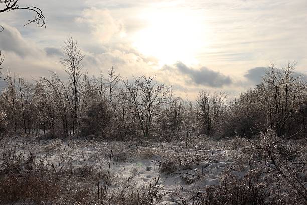 istock A winter field with ice-covered trees and bright sunshine through the clouds — a peaceful, frozen landscape with natural brilliance. 2256920051