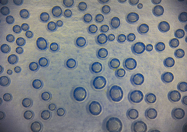 Harmonic backgrounds (screensaver). Air bubbles in water (bleb) on light, smooth surface. Interior design, design creativity,