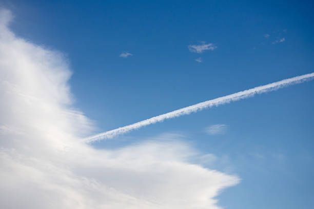 The trail left behind by a plane, sometimes known as a chemtrail, leads from a beautiful wispy cloud off into the clear blue sky.  It's a beautiful, somewhat abstract photo with plenty of copy space.