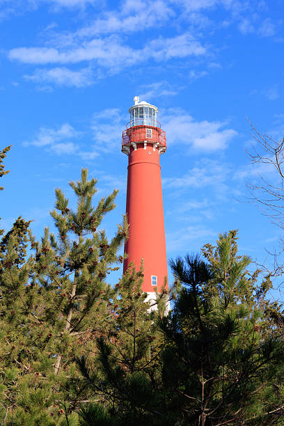The Barnegat Lighthouse in New Jersey rises into the sky over surrounding pine trees
