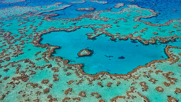 Aerial view of Heart Reef, a naturally heart-shaped coral formation in the Great Barrier Reef, Australia. Iconic marine landmark and symbol of coral reef biodiversity.