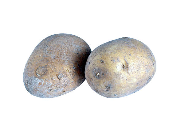 Two ripe potatoes ready for cooking isolated on white background.