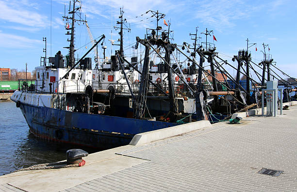 Fishing boats in the harbor