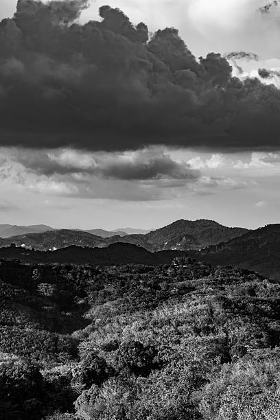 Black and white tropical hills landscape