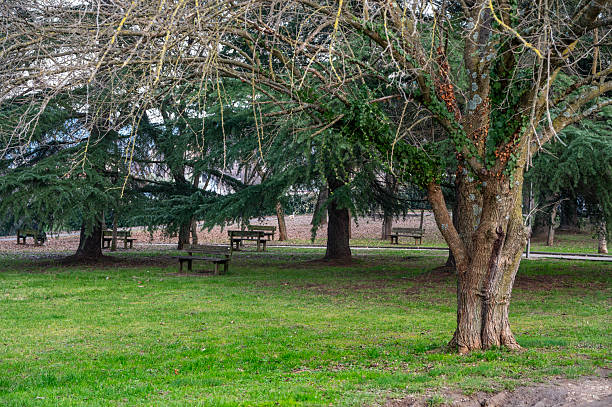 Parco cittadino in inverno