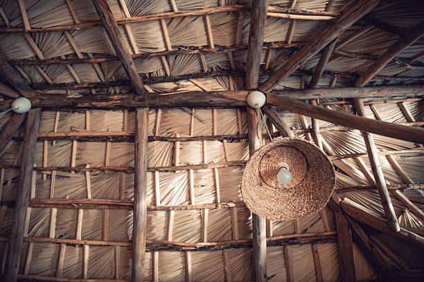 POV from below, looking up at a cane roof, with a cane lampshade hanging. Typical roofing in eco resorts