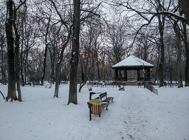 A quiet winter park covered in snow features a central gazebo, winding pathways, wooden benches, and bare trees. Soft light and a calm atmosphere evoke stillness, leisure, and outdoor winter moments. Perfect for scenes of cold weather, nature, relaxation, and everyday park life in winter.