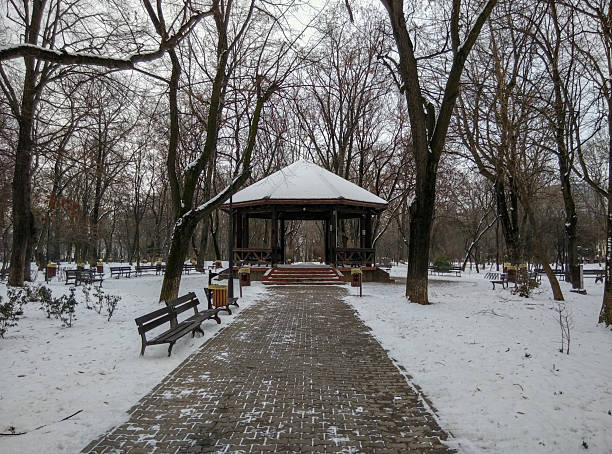 Snow covered winter park during snowfall. A Wooden gazebo in the park.