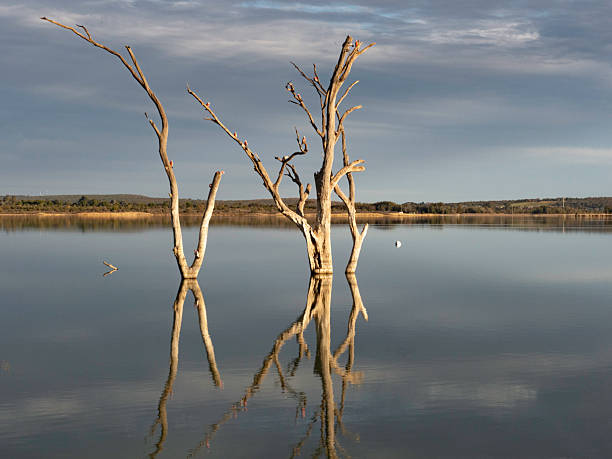 Lake Wyangan, in late afternoon light, Griffith, New South Wales