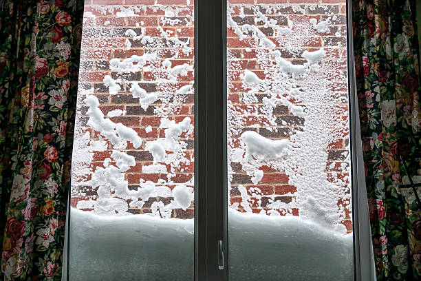 Southern Ontario, Canada in winter blizzard in January 2026