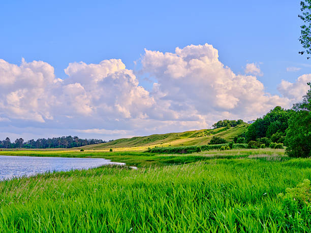 A tranquil Danish landscape features a calm lake to the left, a vivid green meadow in the foreground, and gentle rolling hills under a high, cloud-studded sky. Trees frame the right edge, creating a timeless outdoor scene perfect for nature, travel, and countryside themes.
