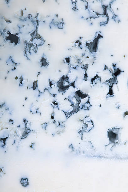 Close up of blue cheese.