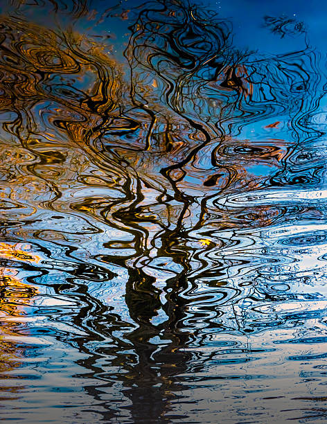 A Very Fluid Fall Reflection