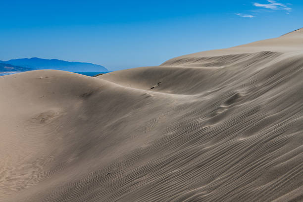 Sand scapes in the Oregon Dunes National Recreation area