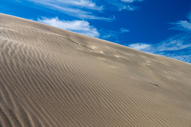 Wind-sculpted sand dunes stretch across the landscape at Cape Kiwanda in Pacific City, Oregon. Smooth ridges and subtle textures in the sand contrast with a clear blue sky, highlighting the natural patterns and quiet beauty of this coastal dune environment along the Oregon Coast.